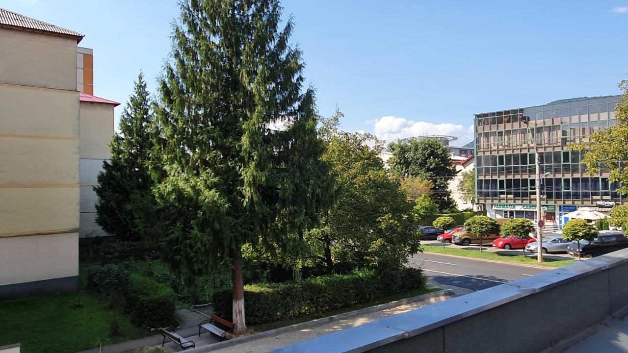 Apartament Cosbuc Baia Mare Esterno foto