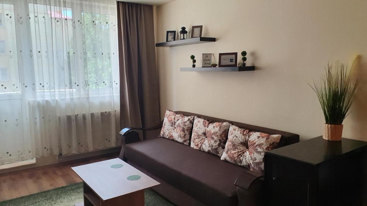 Apartament Cosbuc Baia Mare Esterno foto
