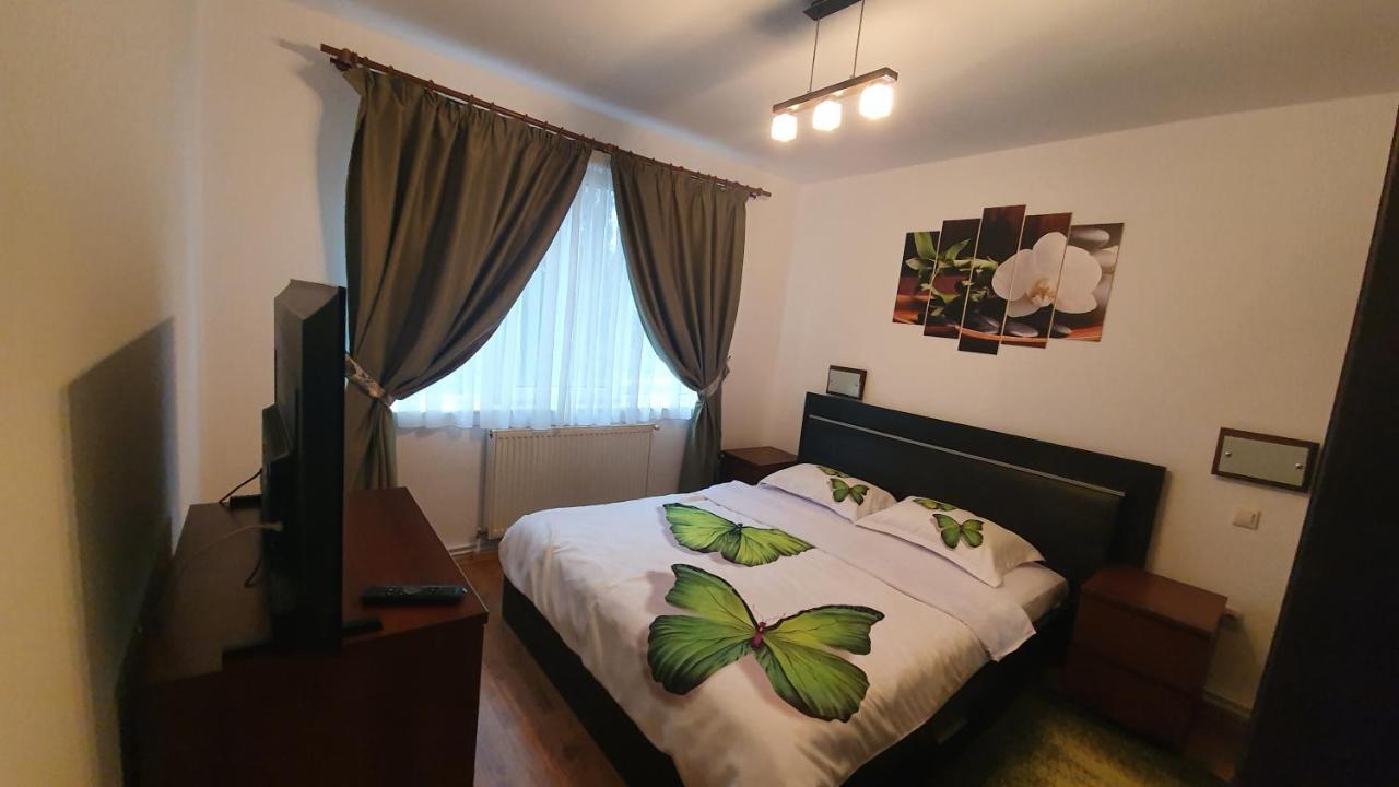 Apartament Cosbuc Baia Mare Esterno foto